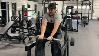 Big arm day. Cut day 17 