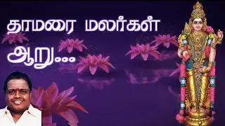 தாமரை மலர்கள் ஆறு | 