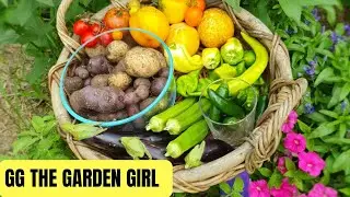 Backyard Garden Harvest // Summer 2020 // Cottage Garden // W7 Yr 2