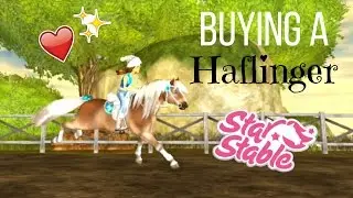 SSO | Buying A NEW Haflinger! &hearts;