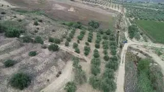 DJI 0275