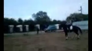 MOV00681