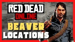 RDR2 Beaver Location - How to get a perfect Beaver pelt RDR2 and rdr2 online