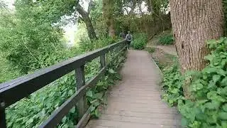 Stour Valley river walk 16 may 2020.