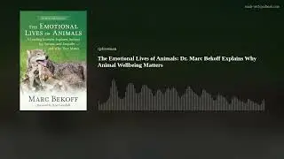 The Emotional Lives of Animals: Dr. Marc Bekoff Explains Why Animal Wellbeing Matters
