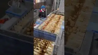 Chips Making Process In Factory #shorts #shortsfeed #youtubeshorts #facts
