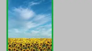Image Trim, Reveal All and Duplicate - Lesson 7-01 Hindi / Urdu