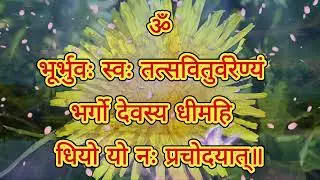 🌼 गायत्री महामंत्र | Positive Energy & Inner Peace | Daily Chant