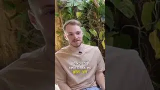 Smarte Terrarienboxen Die Zukunft der Terraristik!  #terraristik #terrarium #podcast #smart #managen