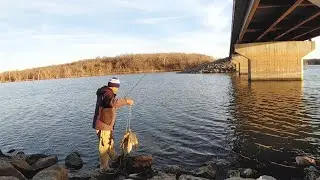 Winter White Bass Fishing Under The Bridge. EP 195