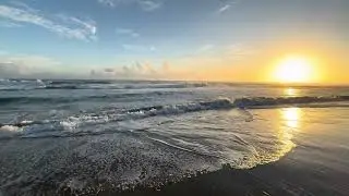 Tropical Beach Sunrise 🌴 Gentle Ocean Waves ASMR for Deep Relaxation & Sleep