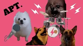 ROS&Eacute; & Bruno Mars - APT. (Dog Cover)