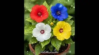 Asethetic flowers video।। Realaxing video for stress Relief।।