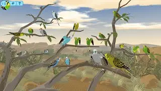 Budgie Genetics Simulator | Ep1