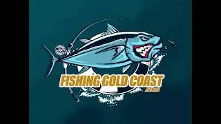 Gold Coast Fishing Charters - Fishing Gold Coast Using Teasers