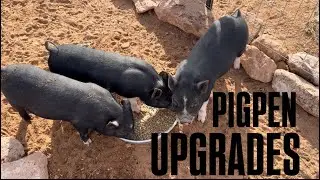 Pigpen gets upgraded!