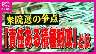 「積極財政・消費減税」世界からは厳しい目「日本の財政はリスク」高市首相は街頭演説で「消費税減税」について言及せず　【衆院選】｜newsランナー〈カンテレNEWS〉
