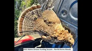 2022 Maine Grouse/Partridge Hunting Season &ndash; North Maine Woods