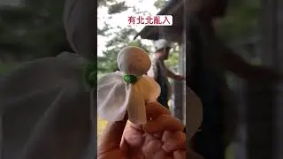 2024/8/3-7漫遊輕井澤 之1