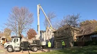 Kansas City Tree Care   913 894 4767   Tree Removal   Olathe 66062 04
