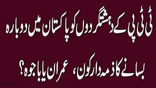 Who is responsible for rehebilitation of TTP in Pakistan Imran Khan or Qamer Javaid Bajwa