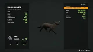 DIAMOND and RARE highlights #110 The Hunter: Call of the wild
