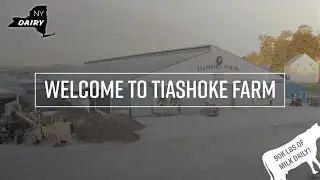 New York Dairy: Welcome to Tiashoke Farm