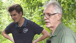 🌳 Gelaagdheid in een voedselbos 🌰 - Kruisbessen proeftuin - Marc Geens & Louis De Jaeger