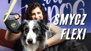 Testuję smycz flexi na Border Collie - czy naprawdę jest taka zła? Flexi Giant Professional 10m