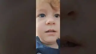 a lagarta no meu quintal
