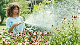 Environmental Nutrition