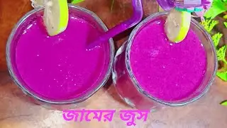 Jam Mojito Recipe | Summer Special Black Plum Drink | Refreshing Jamun Juice Mojito by Akhi