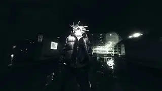 Lingo = PARALIZATOR / directed by @uglyassocho