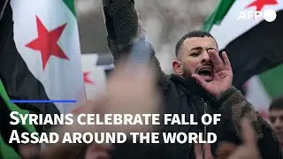 Syrians around the world celebrate fall of Assad | AFP
