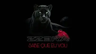 ZZERA - Sabe que eu vou