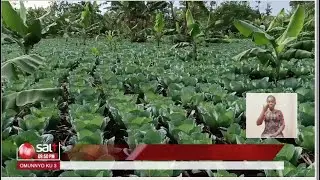 MIXED FARMING - Bw'olima emboga ofuna mangu amakungula