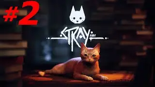 #2 ► ТРУЩОБЫ ► STRAY (PC/MAX SETTINGS)