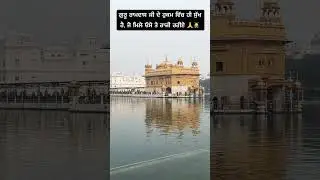Golden Temple live 🙏🙇&zwj;♂️🌺🌸 #GoldenTempleblessings #wmkshorts
