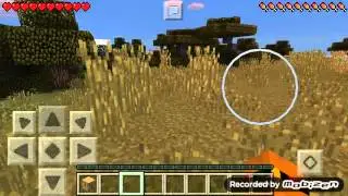 Morto pelo creeper - rapozo