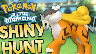 🔴 ONE HOUR for a RAIKOU Shiny Hunt in Pokemon Brilliant Diamond