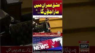 Sohail Afridi's First Speech In KP Assembly #sohailafridi #kpassembly #imrankhan #shorts #arynews