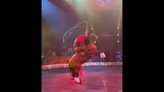 Fabulous! Fantastic! Rope Skipping Horse Jump In Circus #animals #horse #skip #shorts #viral #circus