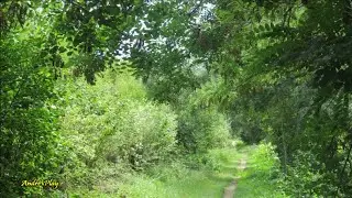Fl&acirc;ner sur le chemin longeant la rivi&egrave;re Ondaine &agrave;  Unieux  22 ao&ucirc;t 2022