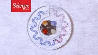 Sensors for your sweat