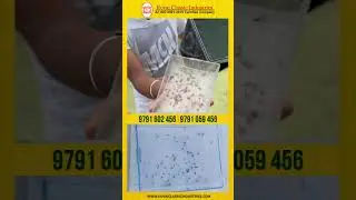 இனி புகைபோட்டு கொசு ஒழிக்க வேண்டாம்❗ KCI Mosquito Trapper வாங்குங்க பக்கவிளைவின்றி கொசுவை ஒழிக்க🦟🪤