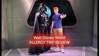 Walt Disney Allergy Review