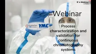 Process characterization and validation for continuous chromatography systems