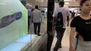 A brief tour to Kings Plaza Shopping Mall Brooklyn, New York!