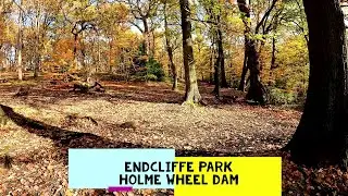 Endcliffe Park: Holme Wheel Dam Waterfall