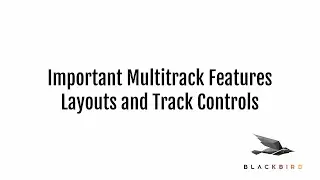 Important multitrack features on the Blackbird timellne